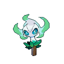 Starter plante